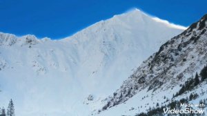 Белая метелица песня ! Елена Гуляева и ансамбль Душагрея