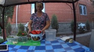 ПОМИДОРЫ МАЛОСОЛЬНЫЕ ”УЛЕТНЫЕ”  вариант 3