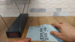 Китаец и Лабрадар. Сравнение двух хронов.