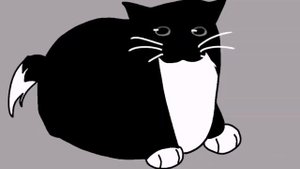 котик крутится