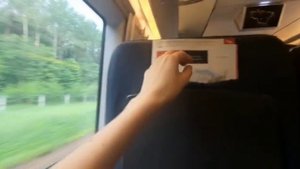 На Сапсане едем в Питер!