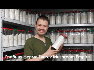 Итоги по ферме. Обновления сайта. Сертификация продукции. Розыгрыш Ежовика Гребенчатого и Рейши.