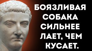 Лучшие цитаты Курция древнеримского историка