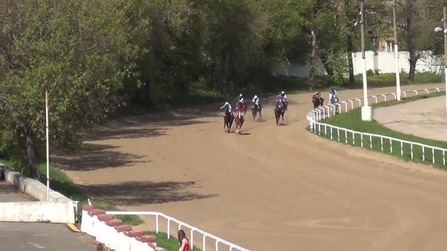 Московский ипподром  Скачки  10 05 15  Скачка 42  ПРИЗ ОТКРЫТИЯ СКАКОВОГО СЕЗОНА