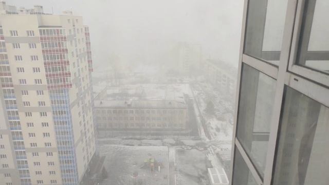 Vlog. Сколько нужно денег для содержания бройлеров?? Хожу по магазинам изучаю стоимость кормов смотреть онлайн