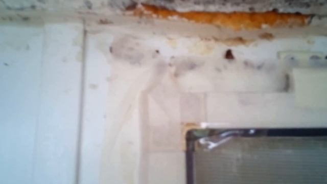 Моё средство борьбы с тараканами смотреть онлайн