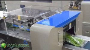 Линия фасовки и упаковки овощей, фруктов и зелени Vega Horizontal Fruit Vegetable Weighting Packing