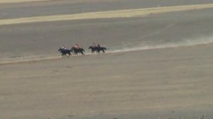 Жорго салыш 2014, Жумгал , Чаек, Байзак баатырдын тойу.