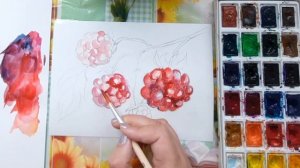 Как нарисовать малину. Малина акварелью. Урок рисования для начинающих