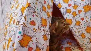 Текстильный домик для кошек и собак Разборный Можно стирать и гладить