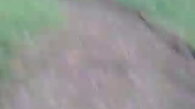 stels 300b базаиха 2014 08 22 смотреть онлайн