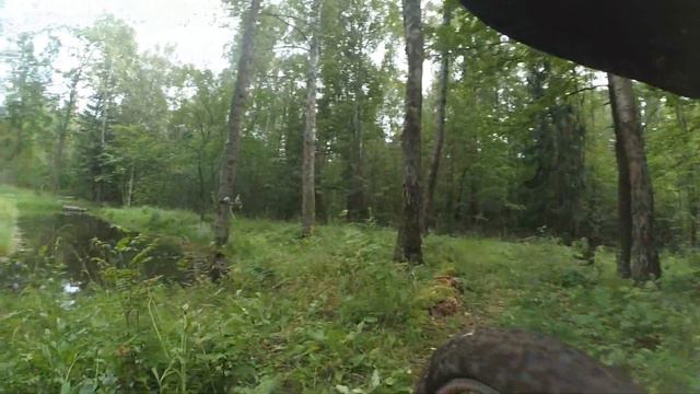 Веломаршрут через лес к водохранилищу
