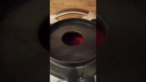 Пастила из сливы ? в Термомиксе и на коврике- самобранке