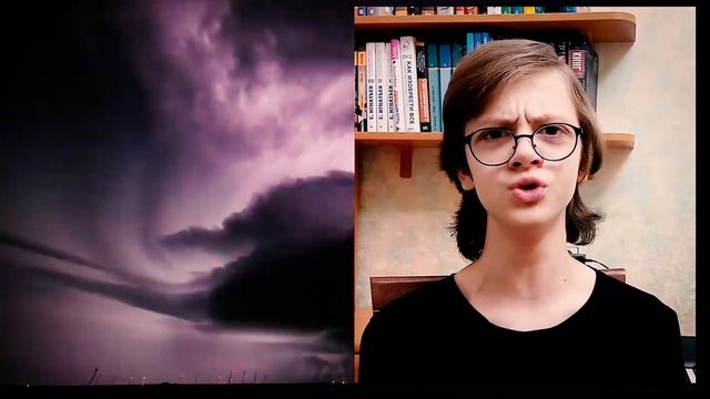 Роберт Рождественский "О незаменимых..."