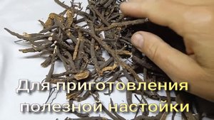 КОРНИ ЛАПЧАТКИ БЕЛОЙ, 4 - Х ЛЕТНИЙ КОРЕНЬ, РУЧНОЙ СБОР ТРАВНИКА КОРОЛЬКО.