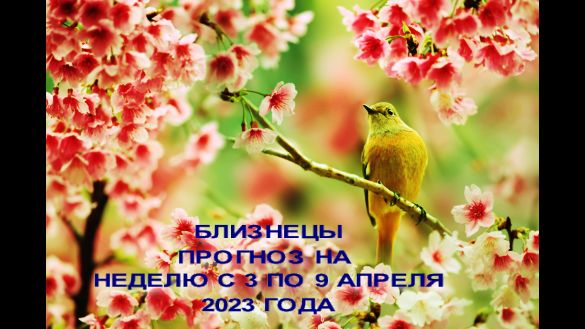 БЛИЗНЕЦЫ ГОРОСКОП НА НЕДЕЛЮ С 3 ПО 9 АПРЕЛЯ 2023 ГОДА
