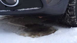 Шум работы Webasto радующий слух)