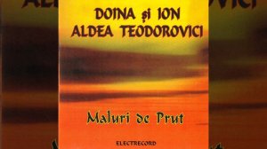 Doina Aldea Teodorovici - Indiferență