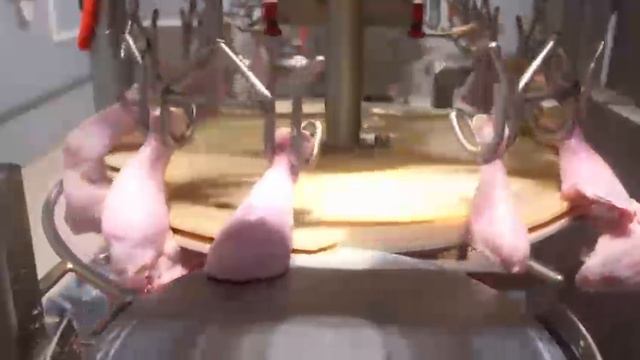 Линия разделки птицы СП-4000 производительностью 4000 голов в час