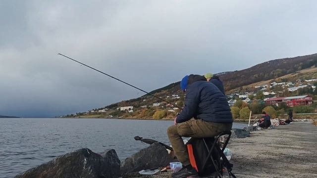 УЛОВИСТАЯ СНАСТЬ  ДЛЯ ЛОВЛИ КАМБАЛЫ ,ТЫ НЕ ОСТАНЕШЬСЯ БЕЗ УЛОВА ЕСЛИ СДЕЛАЕШЬ ВСЁ ПРАВИЛЬНО