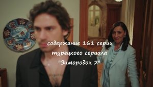 Содержание 161 серии (15 турецкая) второго сезона сериала "Зимородок 2" (РФ, 2023 / 2024)