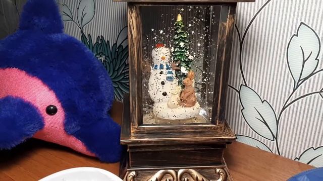 Бегония вечноцветущая СКАРЛЕТ - сравниваю всхожесть семян двух производителей смотреть онлайн