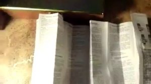 Группа безопасности STOUT