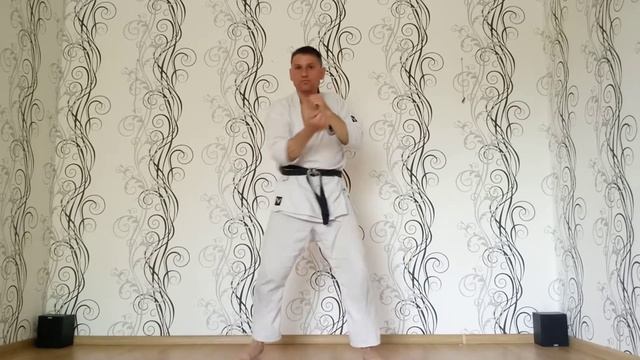 Дистанционное занятие по Джиу-джитсу 12