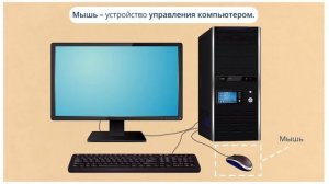 Из чего состоит компьютер