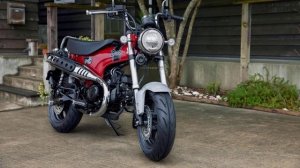 2023 Honda ST125 Dax: The Retro Mini-Bike Is Back!