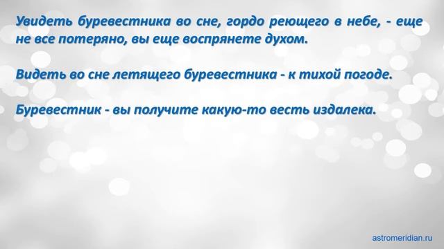 К чему снится Буревестник смотреть онлайн