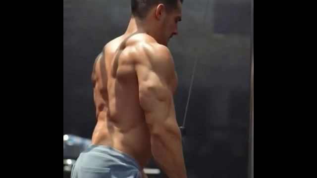 My Muscle Vid