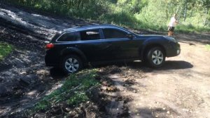 Subaru Outback BR9,чуть не засадили в лесу.