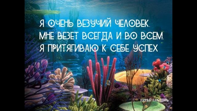 30, 31 Октября 2023, талисман, ритуалы и ангел для 17 лунного дня смотреть онлайн