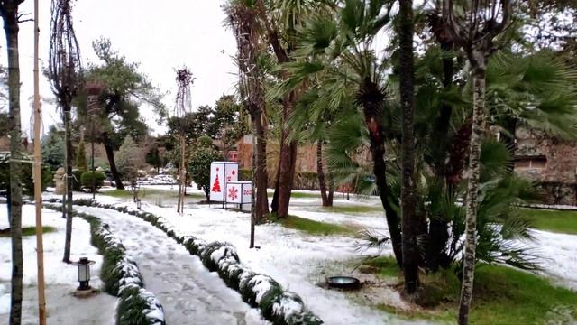 Стоит ли ехать в Батуми зимой. Снег и погода в Батуми смотреть онлайн