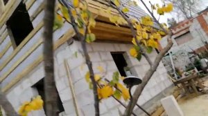 Строим баню. Зашивка фронтона