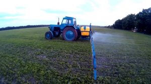 Технология выращивания сои от А до Я