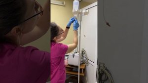 Капельница коту в домашних условиях