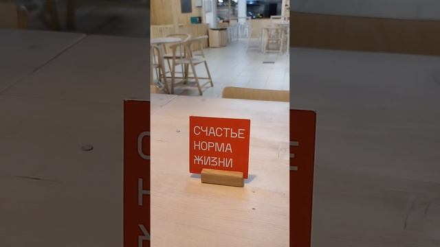 #счастье #норма #жизни #happiness #normal #life #GaraevDamir #ГараевДамир #AmiDami19 #shorts #short