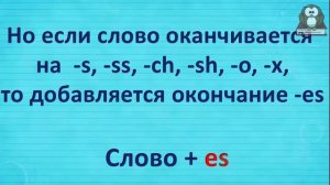 Множественное число существительных в английском языке