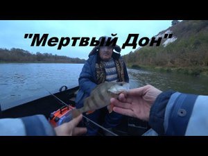"Мертвый Дон" - Щука, окунь и берега мертвой рыбы!!!