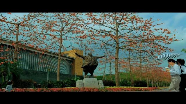 Шэньчжэнь - город будущего
