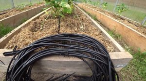 Установка капельного полива Жук на 120 растений