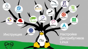 Инструкция по настройке дистрибутивов Linux