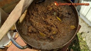 ОБЕЗВОЖИВАНИЕ У НУТРИЙ. Симптомы и как избежать.