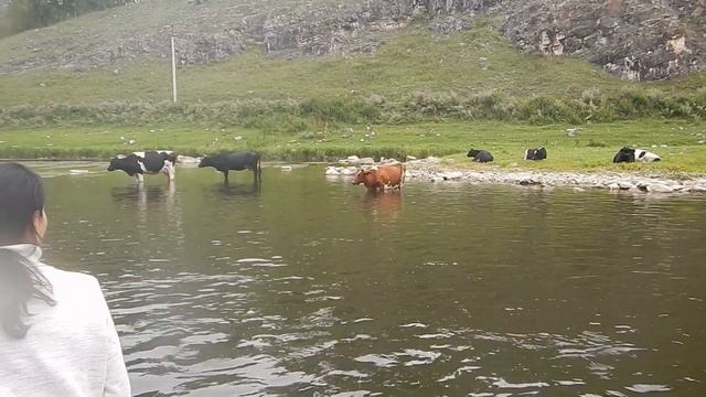 Сплав по реке АЙ. Как отдыхают южноуральцы смотреть онлайн