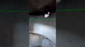 Септик. 2023_09_18.mp4