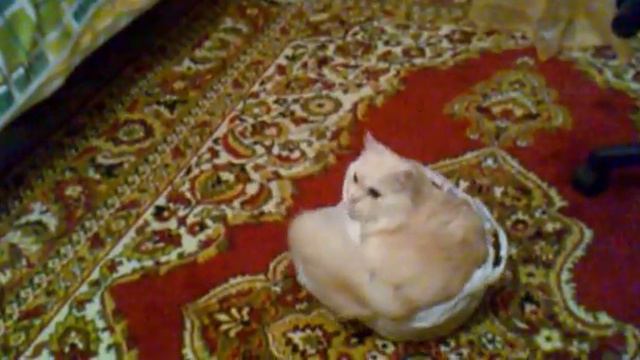 Юююю.mp4 смотреть онлайн