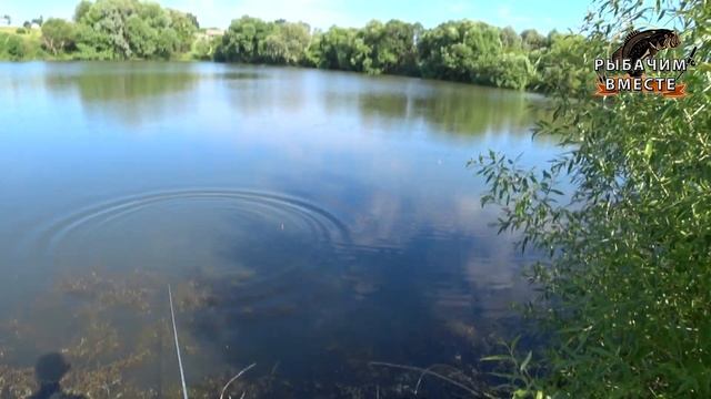 Приключения в Деревне Соловцово Жарим Мачмело