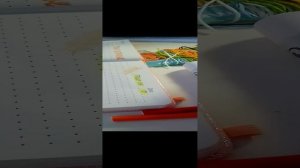 VID_20240827_141732.mp4